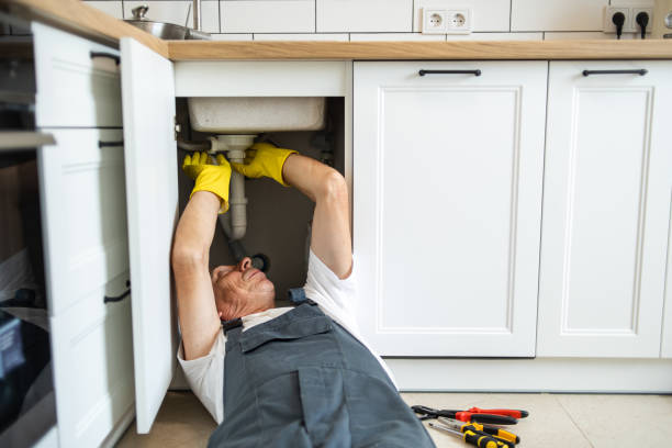 Best Plumbing Inspection Services  in Buffalo, MN